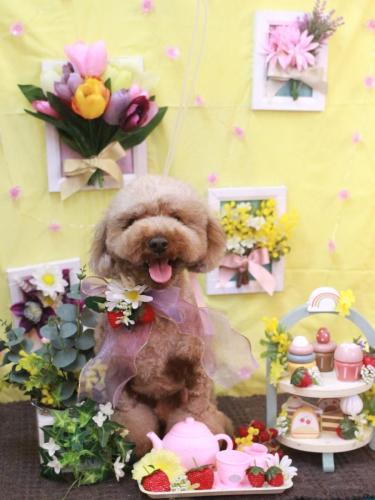 20230302くうくん